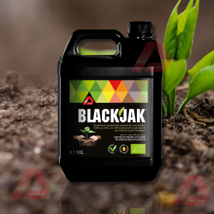 Bidon BlackJak biostimulator pentru sol si biostimulator inradacinare