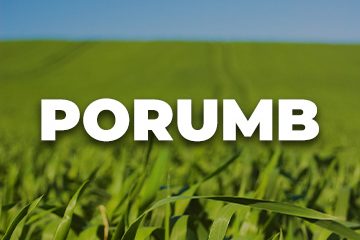 PORUMB