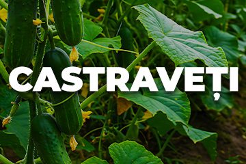 CASTRAVETI