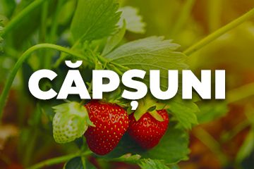 CAPSUNI