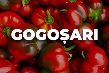GOGOSAR