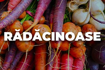 RADACINOASE