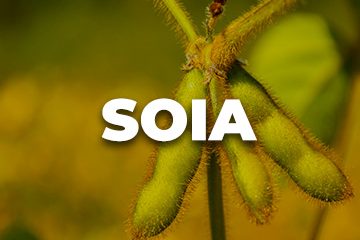 SOIA