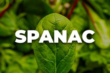 SPANAC