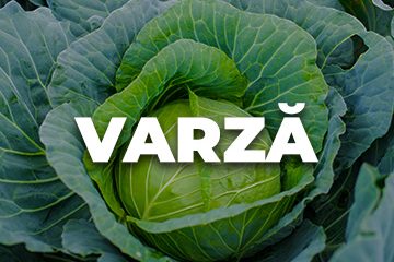 VARZA